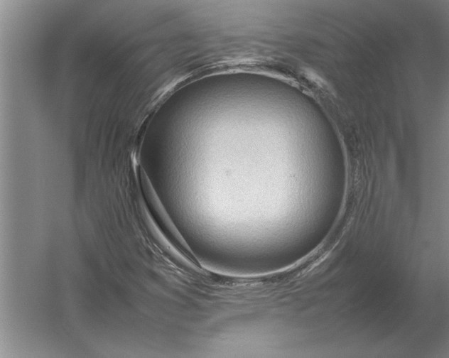 X0000054431353200508192113