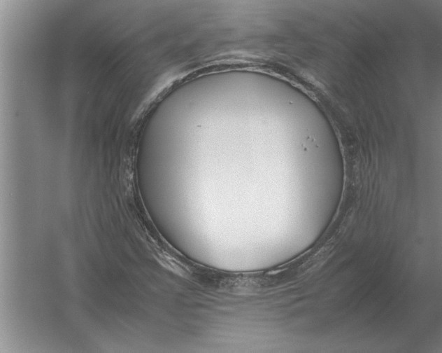 X0000054431355200508192113