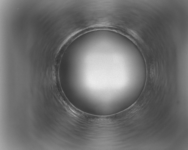 X0000054431356200508192113