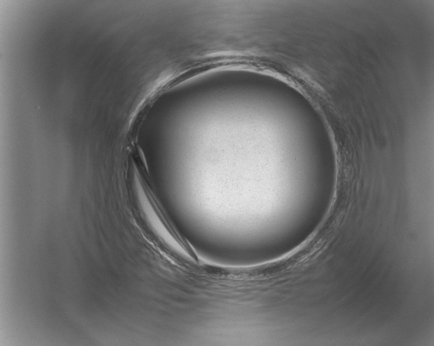 X0000054431357200508192113