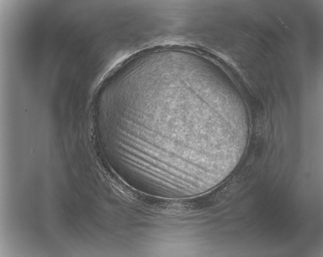 X0000054431359200508192113