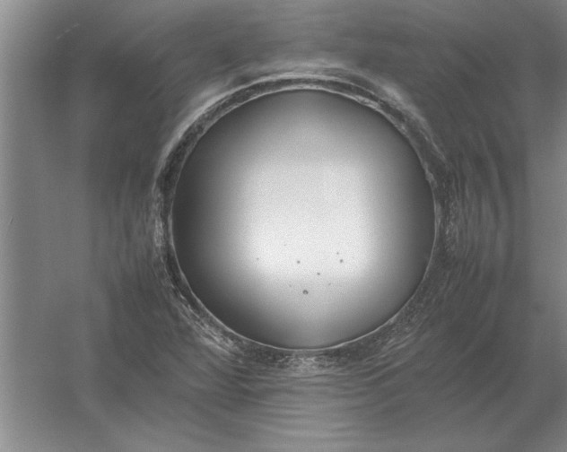 X0000054431360200508192113