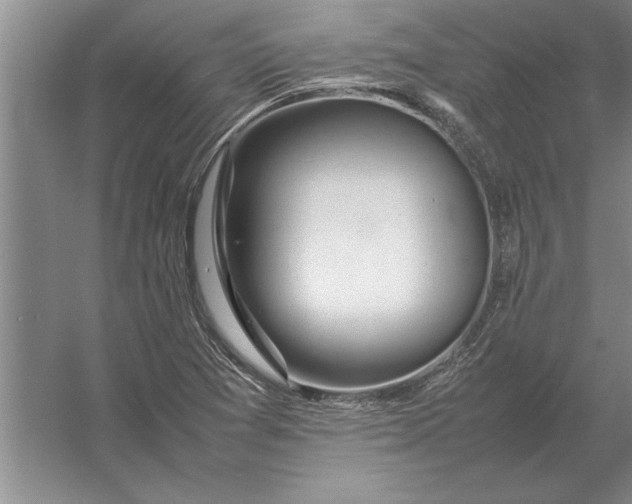 X0000054431361200508192112