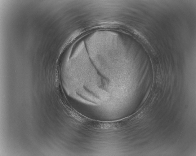 X0000054431362200508192112