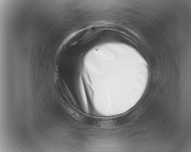 X0000054431363200508192112