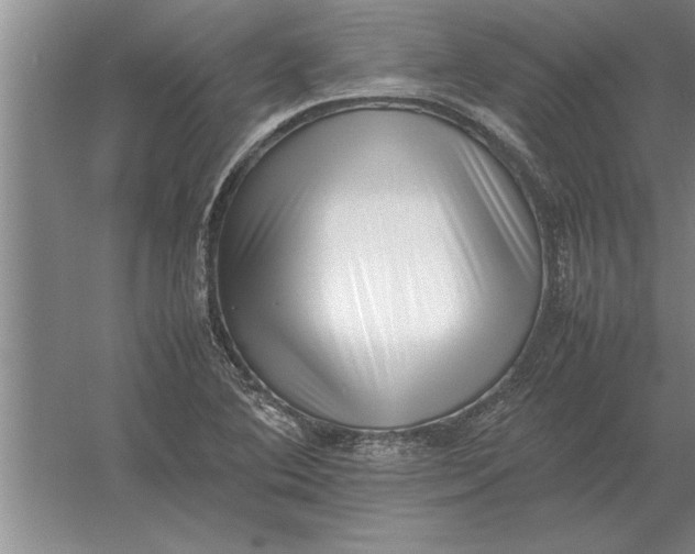 X0000054431364200508192112