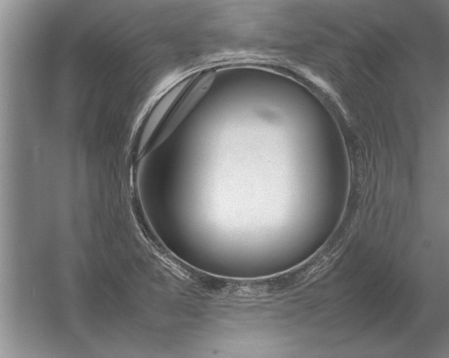 X0000054431365200508192112