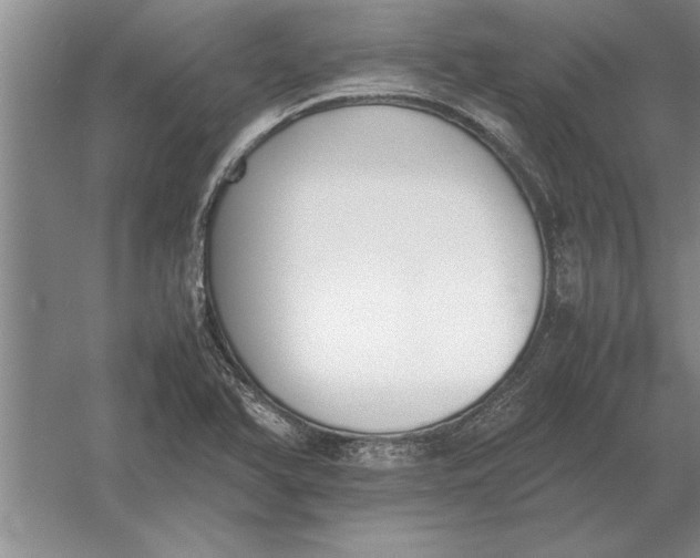 X0000054431366200508192112