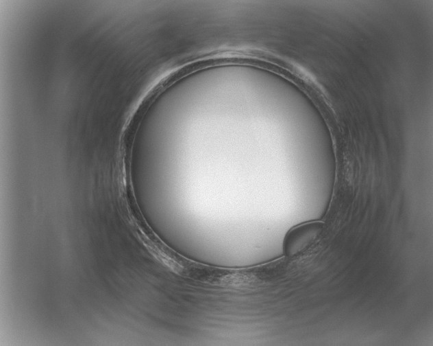 X0000054431368200508192112