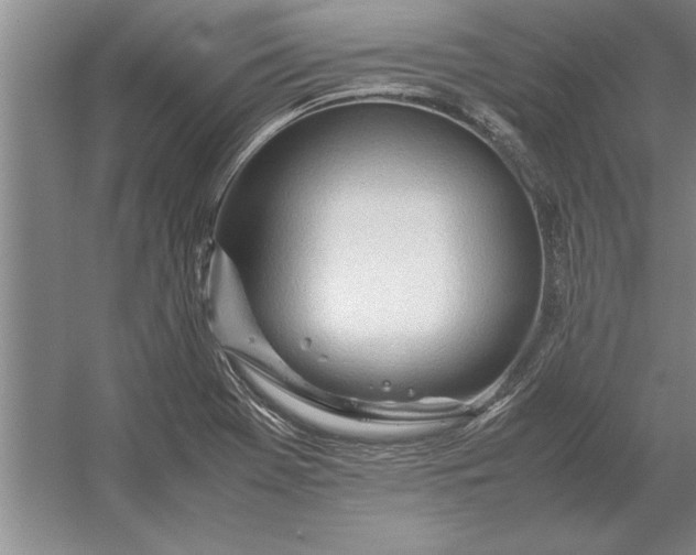 X0000054431369200508192112