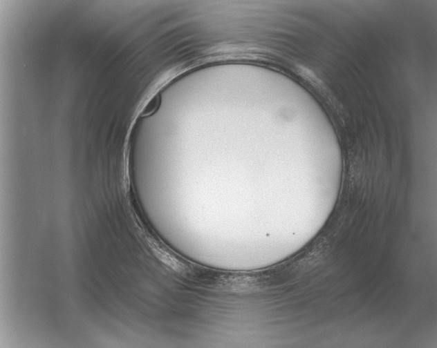 X0000054431370200508192112