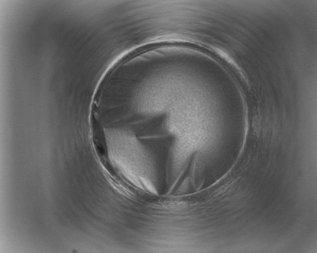 X0000054431372200508192112