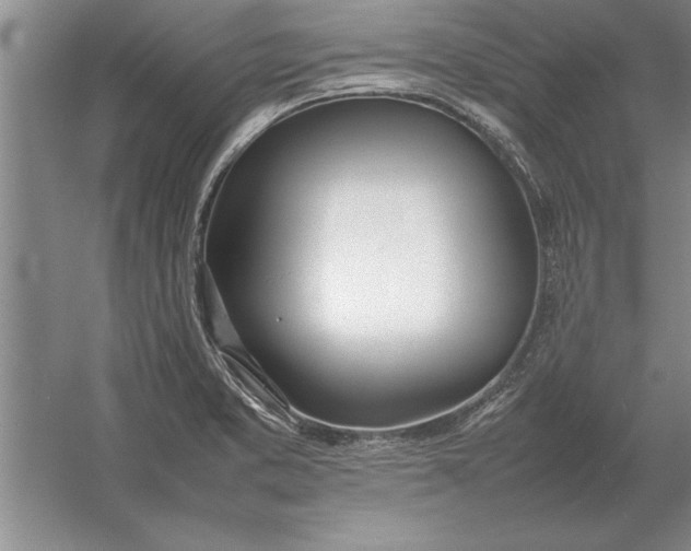 X0000054431373200508192112