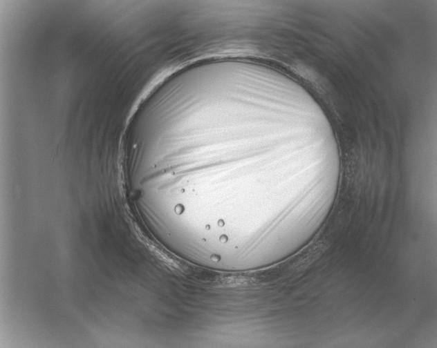 X0000054431374200508192112