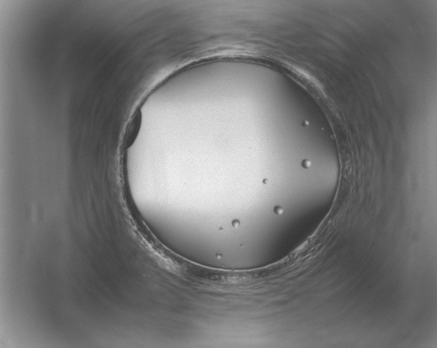 X0000054431375200508192112