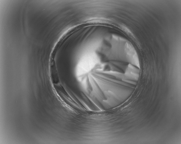 X0000054431376200508192112