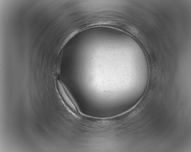 X0000054431377200508192112