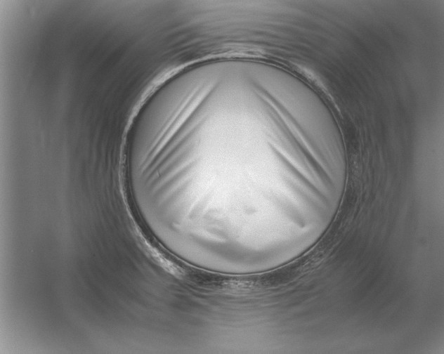 X0000054431379200508192112