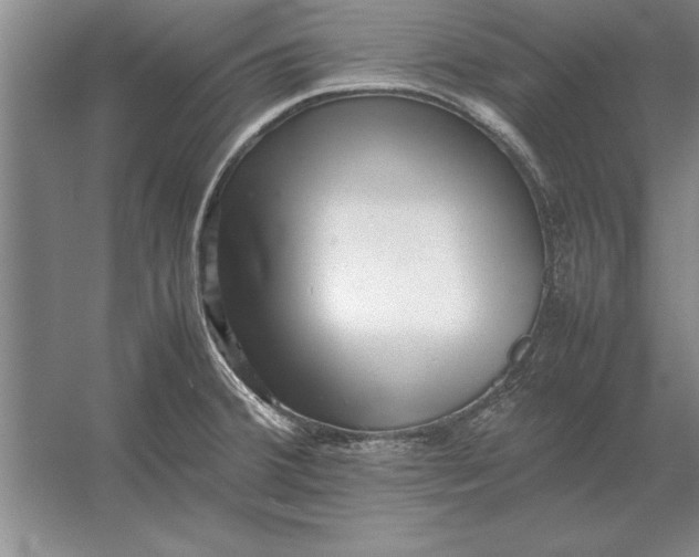 X0000054431380200508192112