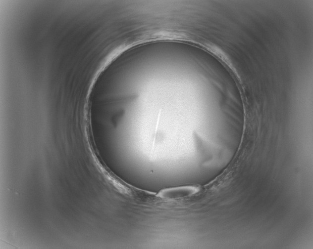 X0000054431381200508192112