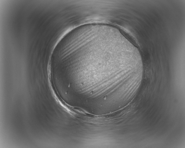 X0000054431383200508192112