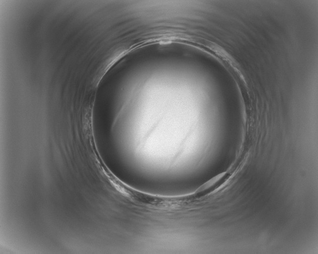 X0000054431385200508192112