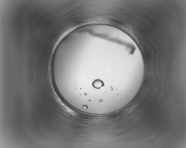 X0000054431387200508192112