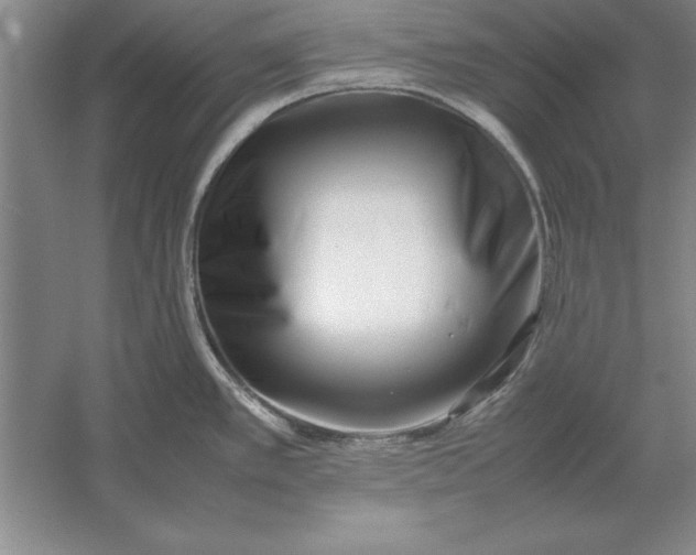 X0000054431389200508192112