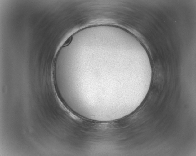 X0000054431390200508192112