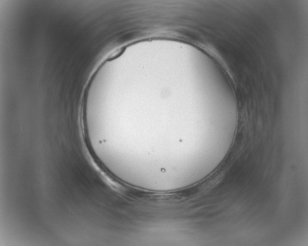 X0000054431391200508192112