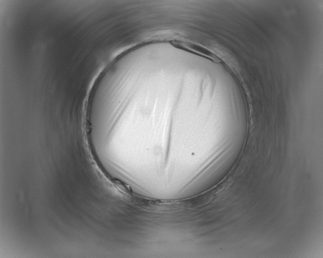 X0000054431392200508192112