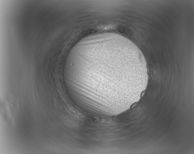 X0000054431393200508192111