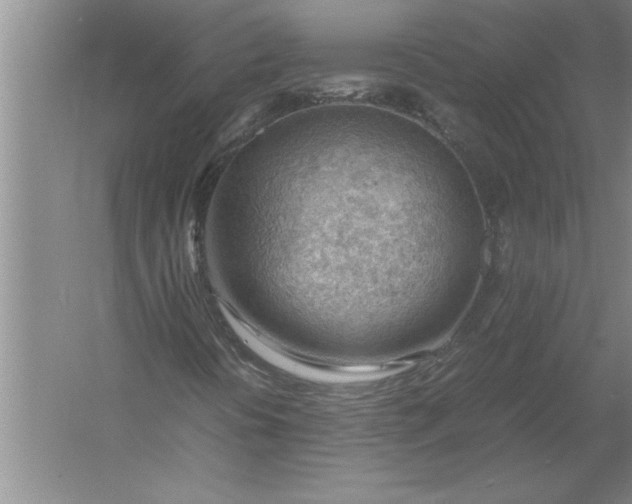 X0000054431394200508192111