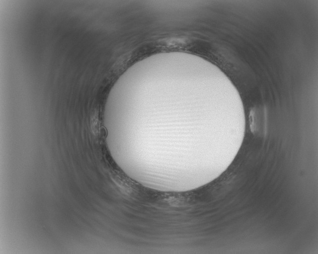 X0000054431395200508192111