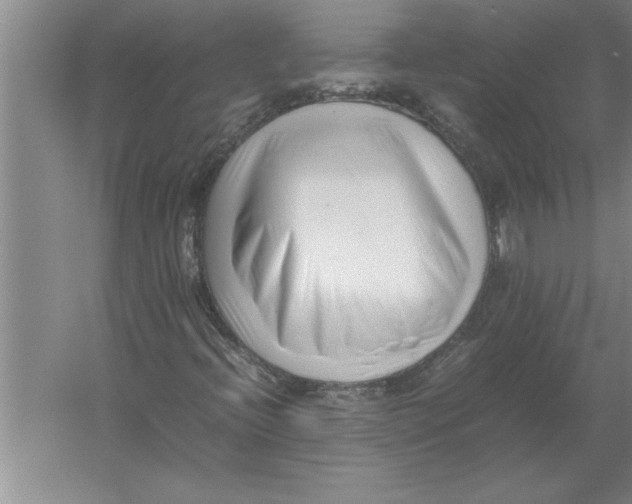 X0000054431396200508192111