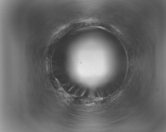 X0000054431398200508192111