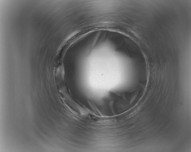 X0000054431402200508192111