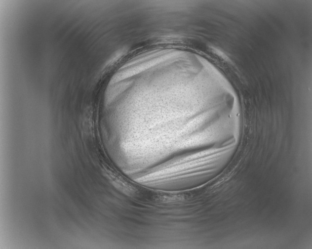 X0000054431403200508192111