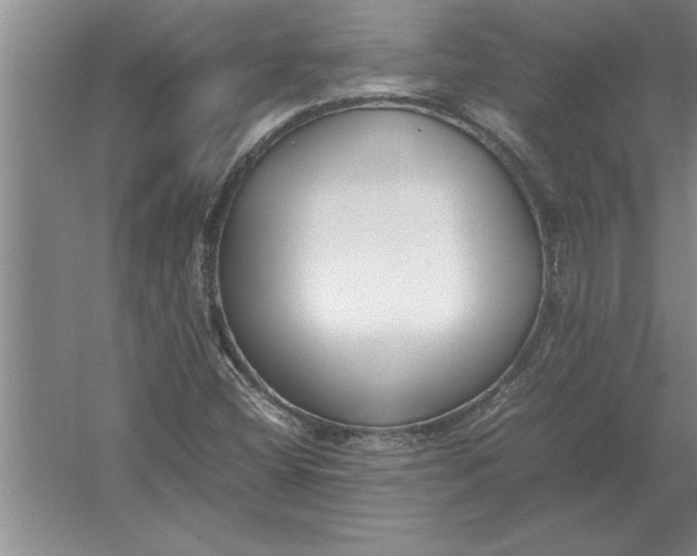 X0000054431404200508192111