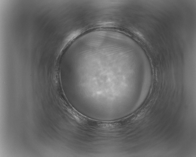 X0000054431405200508192111