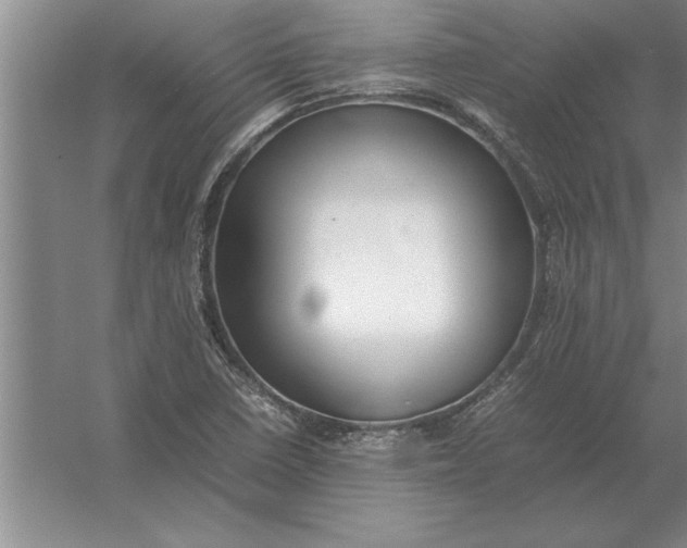 X0000054431410200508192111