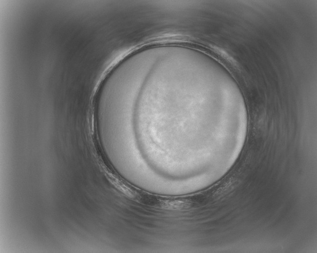 X0000054431413200508192111