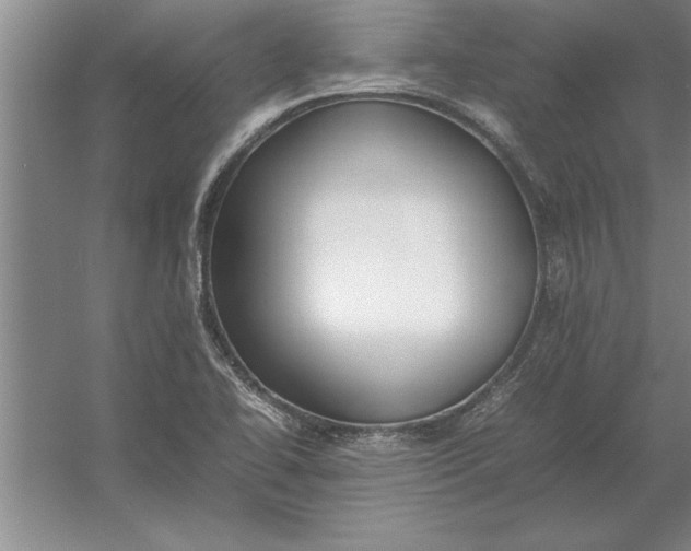 X0000054431414200508192111