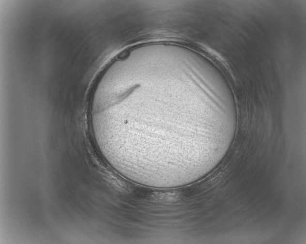 X0000054431415200508192112