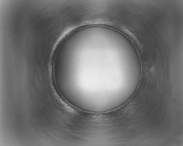 X0000054431416200508192112