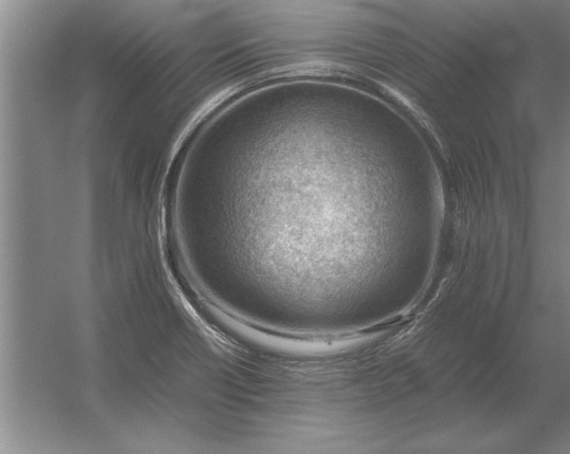 X0000054431418200508192112