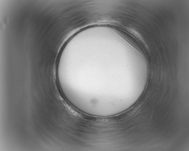 X0000054431420200508192112