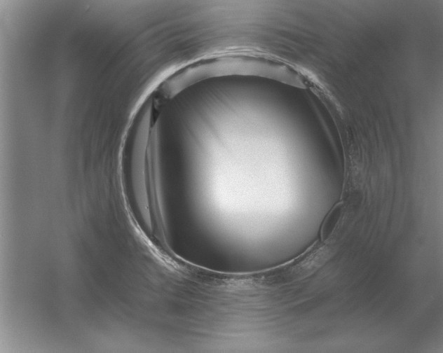 X0000054431422200508192112