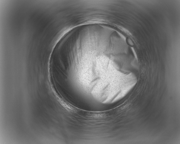 X0000054431423200508192112