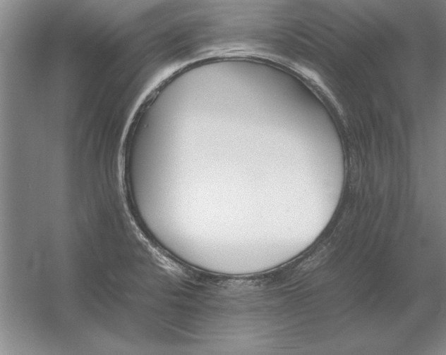 X0000054431424200508192112